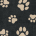 GraphiteBiscuit_Paws